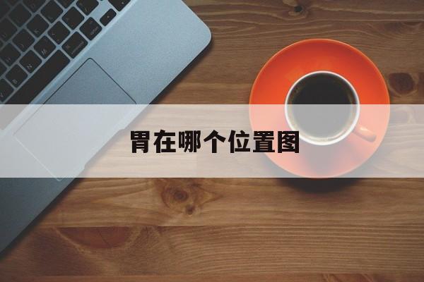 胃在哪个位置图:(胃到小腹竖着一条都疼)