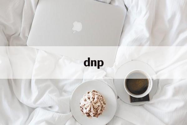 dnp:(dnp照片打印机官网)
