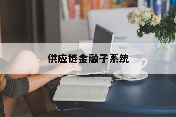 供应链金融子系统:(金融供应链是什么意思)